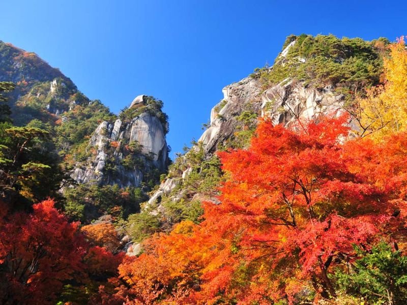 Shosenkyo Gorge Fall Colors Walk & Winery Tour