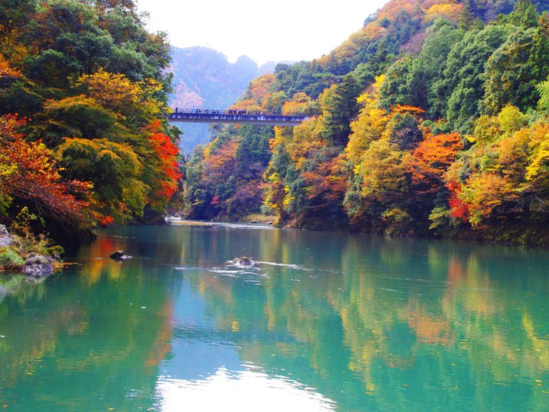 Autumn Color Kayaking